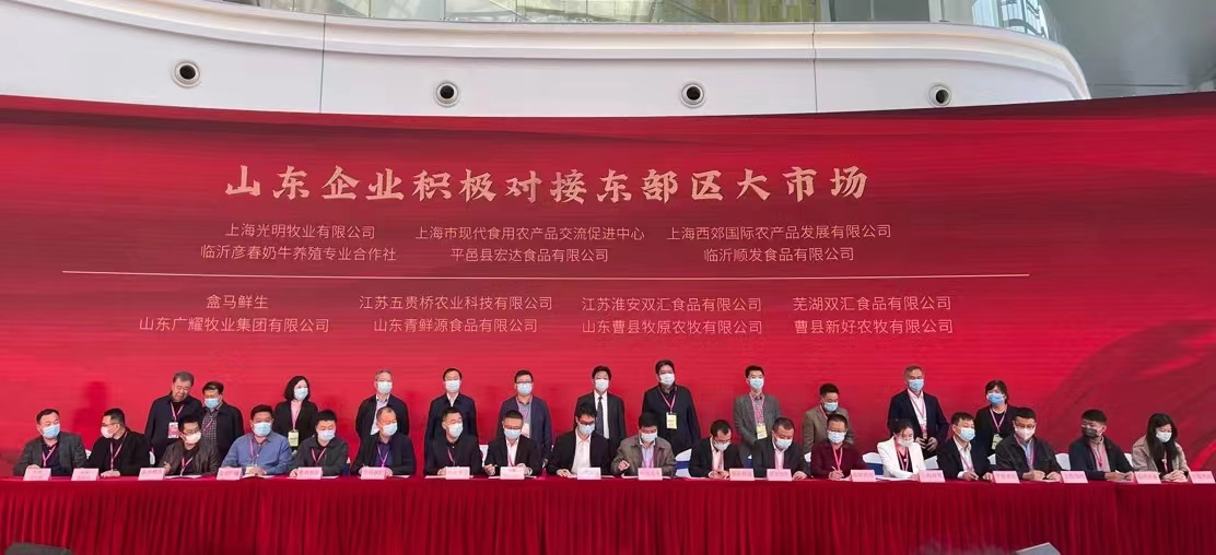 杏盛官方网站图片