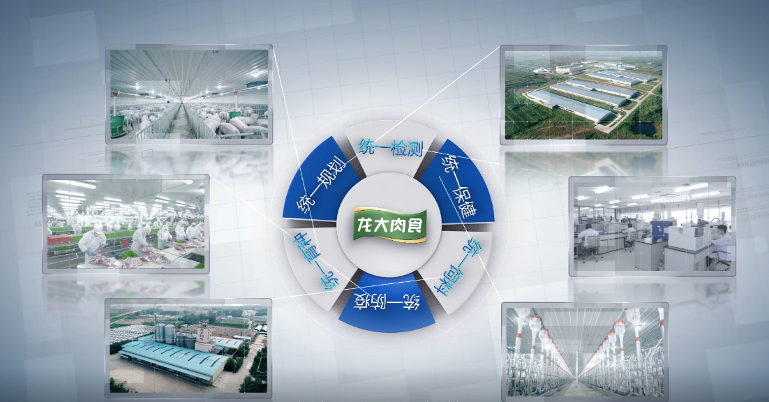 杏盛官方网站图片