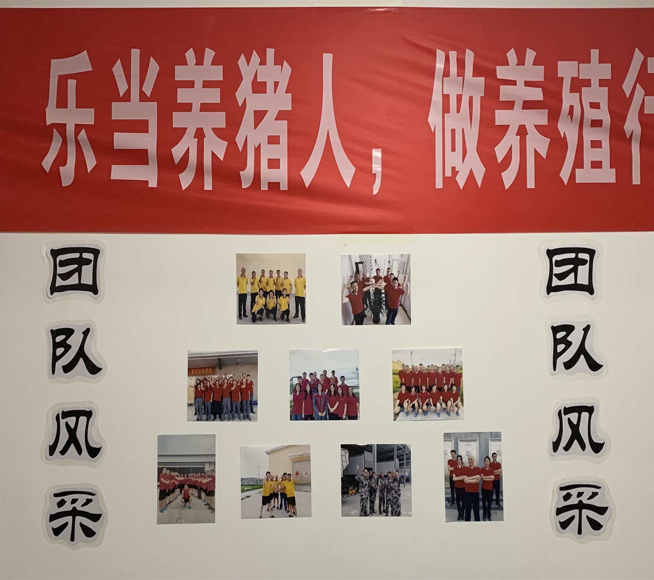 杏盛官方网站图片