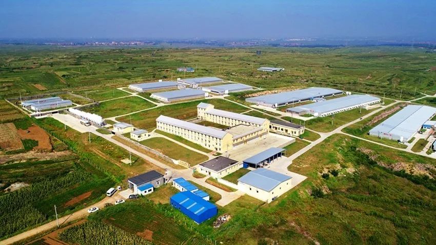 杏盛官方网站图片