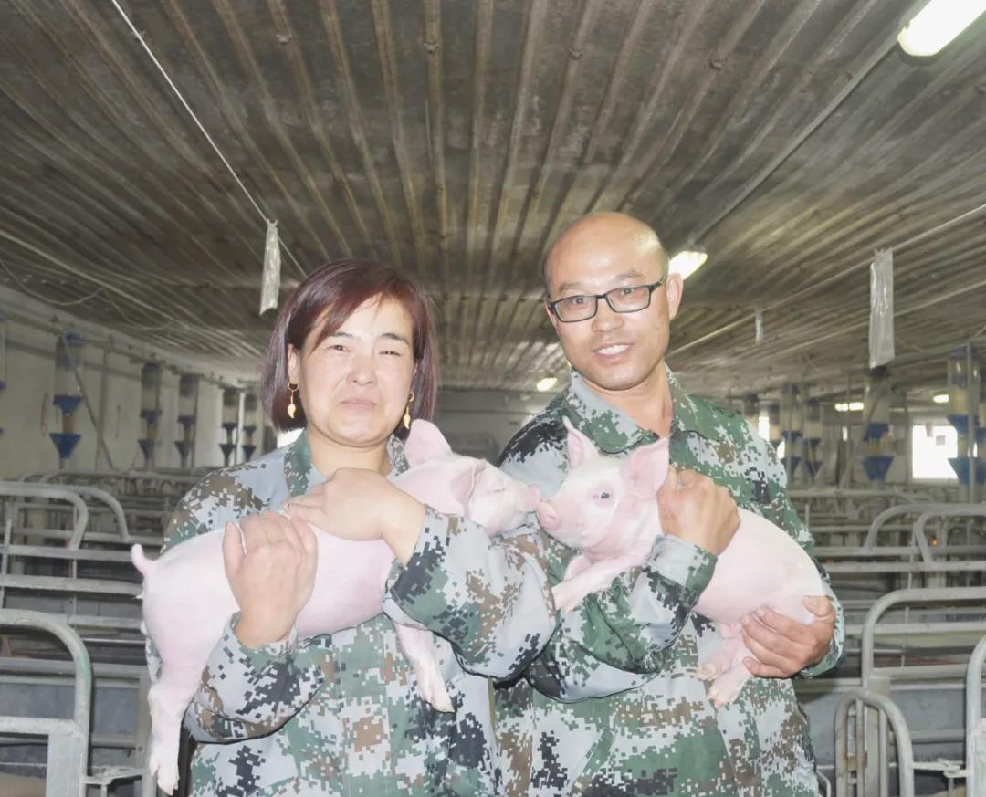 杏盛官方网站图片