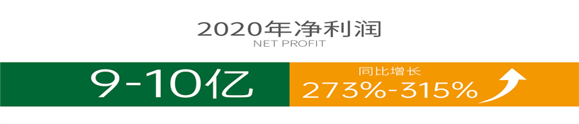 杏盛官方网站图片