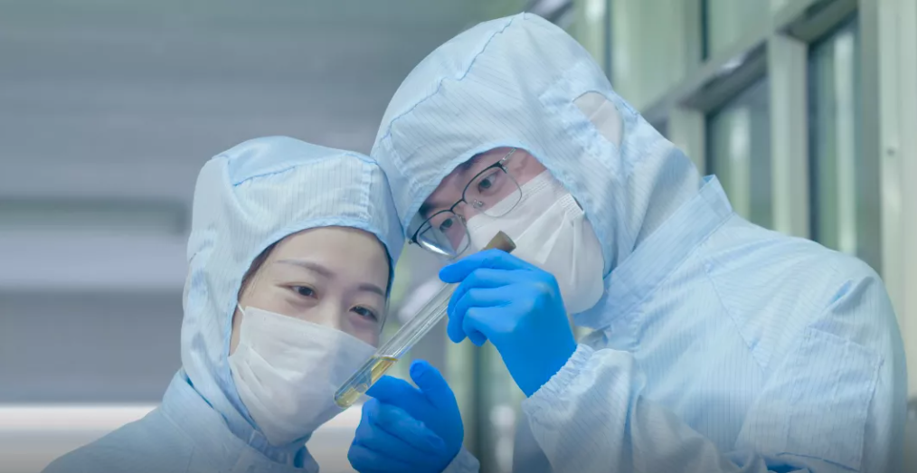 杏盛官方网站图片